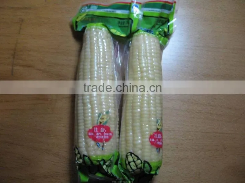 Commercial Plastic Bag Food Vacuum Sealer for Meat and Food Vacuum Packing Machine