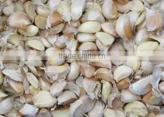 automatic conveying garlic bulb seperating machine +8618637188608