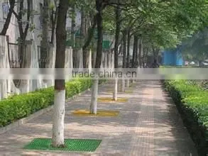 Floor gully grating/Car wash with frp grating/frp Grating