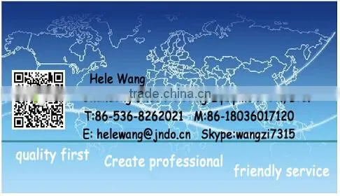 Electric Wire Rope Hoist for Crane, Small Electric Hoist, Cheap Electric Hoist