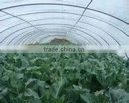 agricultural plastic film