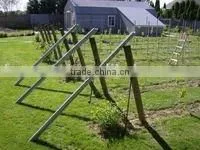 vineyard stake