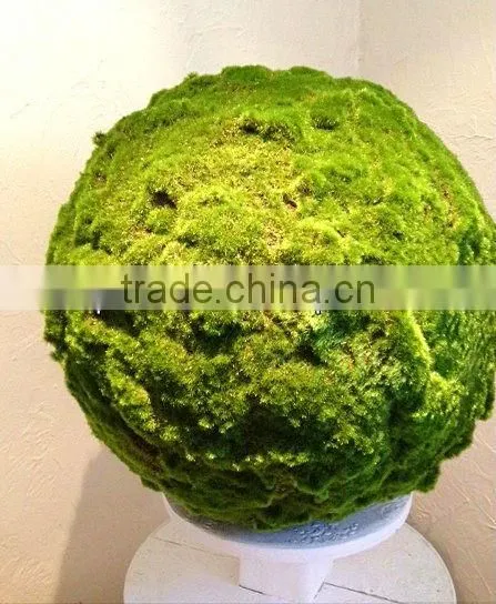 artificial moss/fake moss