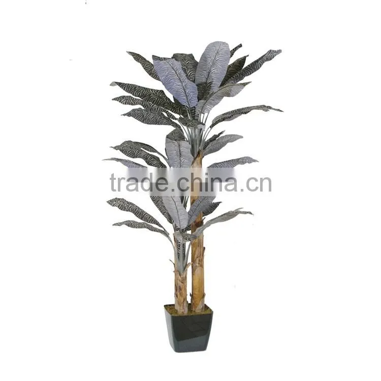 bonsai fruit tree bonsai pots chinese bonsai