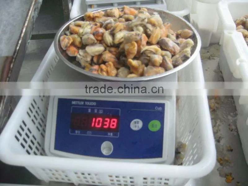 IQF blue mussel meat