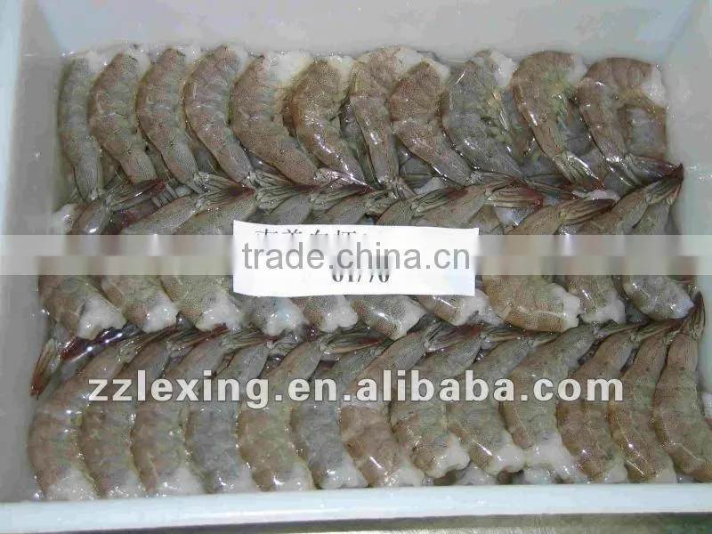 frozen vannamei white shrimp