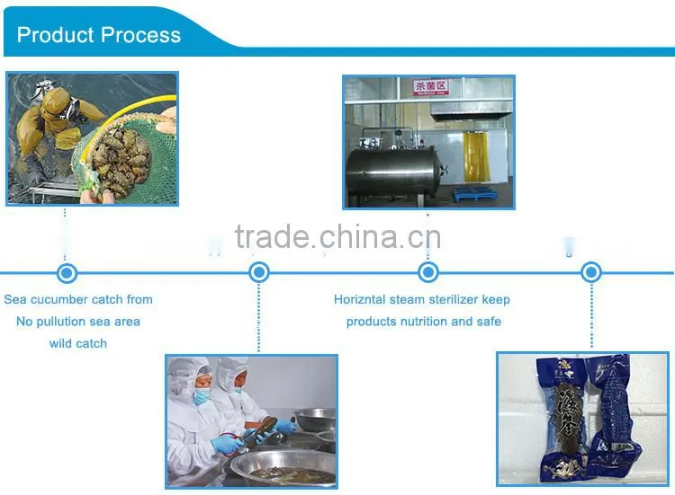 China supplier food salted sea cucumber