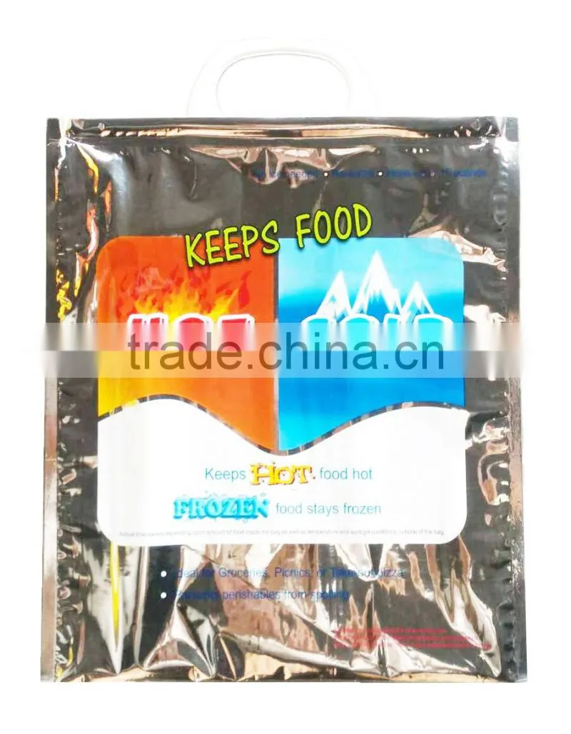 X Large Hot Cold Insulated Foil Grocery Bag Holds 30Lbs Thermal Food Storage New