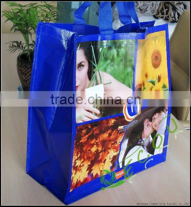 pp non woven laminated bag