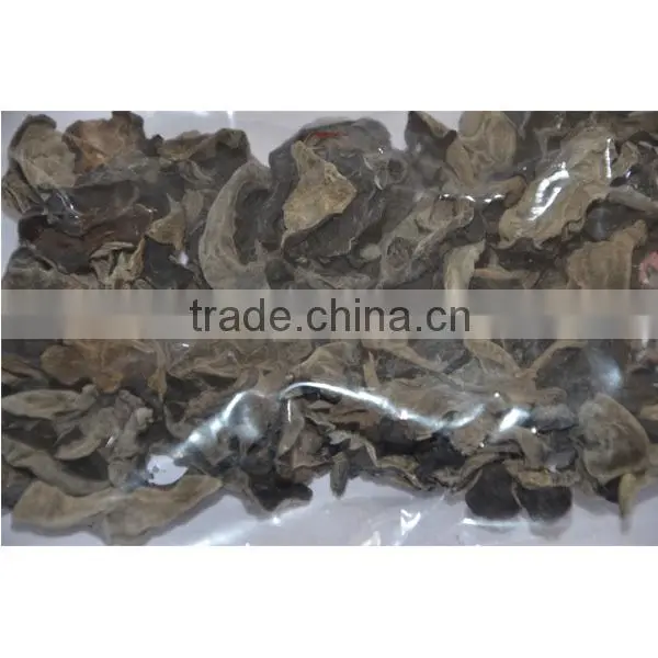 Black Fungus