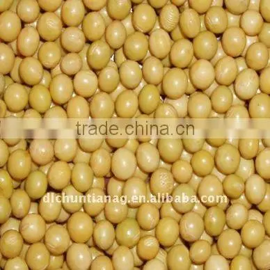 Organic Soybeans
