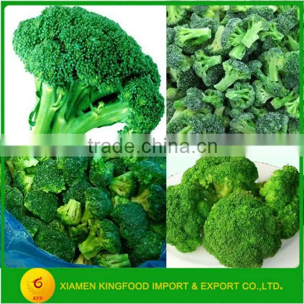 Best Chinese Frozen and IQF Broccoli