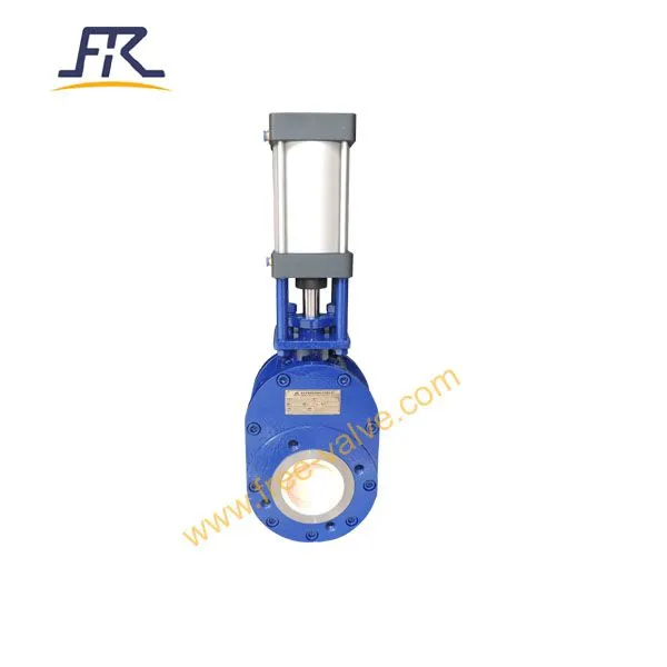 Thin Ceramic Double Disc Gate Valve02