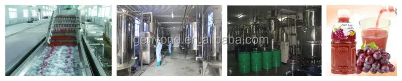 Beverage Fresh Fruit Juice Processing Plant Line Production Line