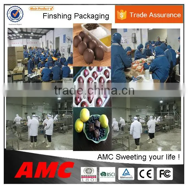 mulit functional chocolate machine enrobing for coating food