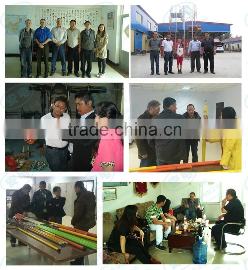 Baoding Tongli Electric Equipment Co.,Ltd.