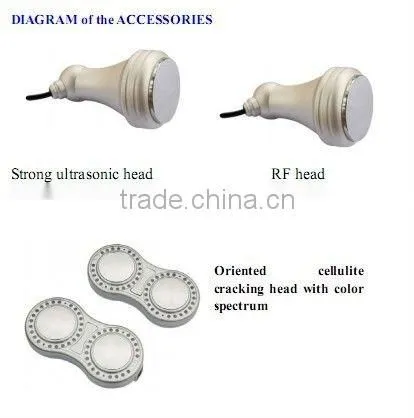 Ultrasonic Cavitation Machine S-48E