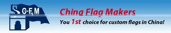 Hot sale/Car mirror flag/custom car mirror flag/mirror sock