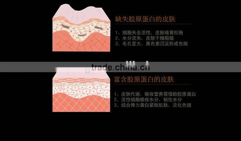 Factory Wholesale Schnaphil Snail Extract Moisturizing Anti-Wrinkle Essence 10ml