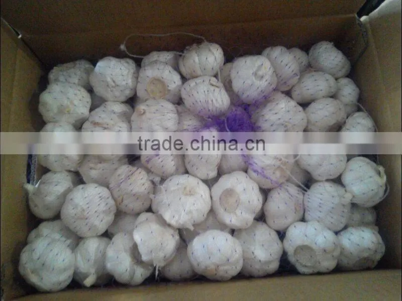 2016 New Crop Chinese Red Garlic