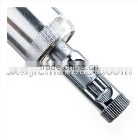 DP Type Veterinary vaccines syringes WJ121-3