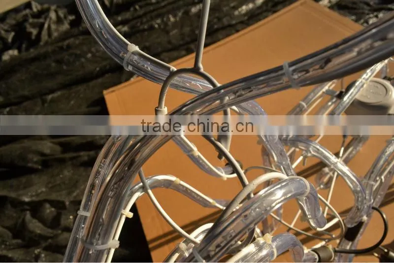 The 2013 Motor control outdoor animated rope lights