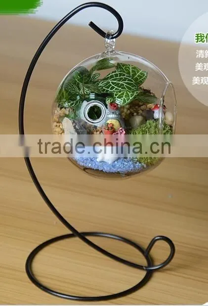 Yasit different types glass vase/ Glass Terrarium,clear glass festivals decoration,clear glass vase