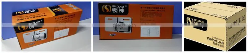 High security glass door (LY15CR2-11BM)
