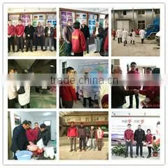 Shandong Libaile Food Co., Ltd. company overview - view 1