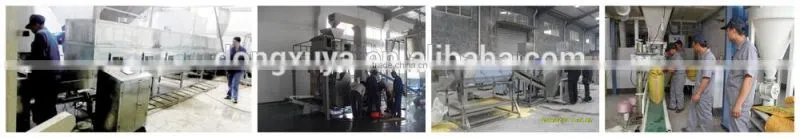 Best Spiral, Shell Puffed Food Production machine
