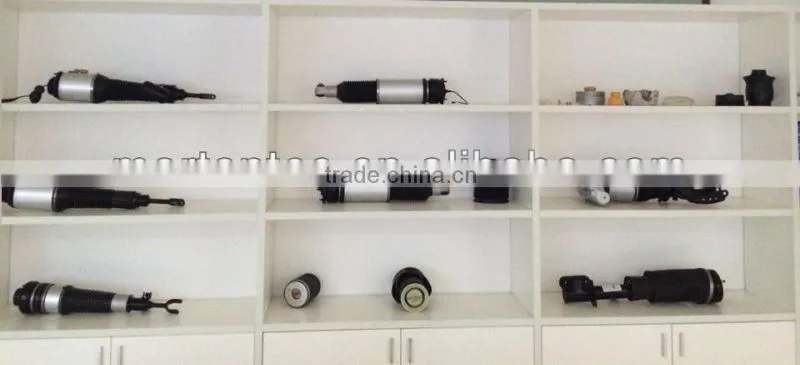 (L)4F0616039AA,(R)4F0616040AA Air Ride Suspension for Audi A6L Front