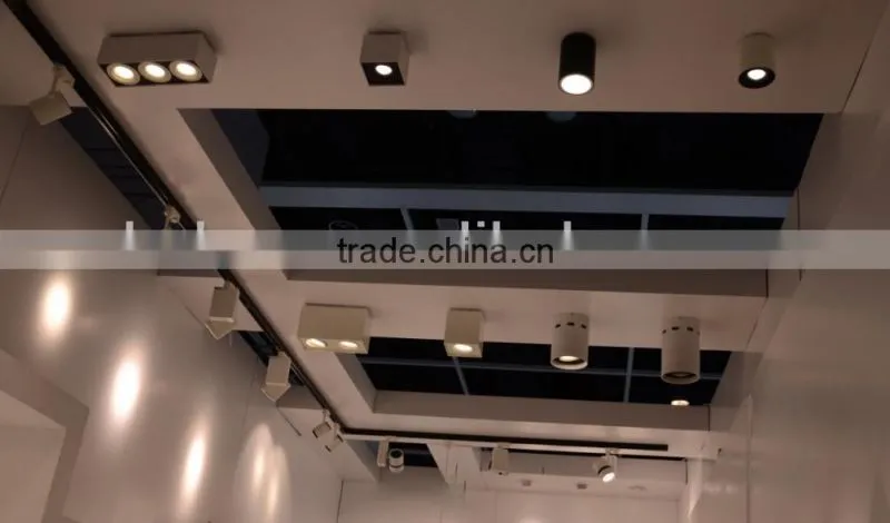 LED COB Ceiling Light / Surface Mounted COB LED Ceiling Light