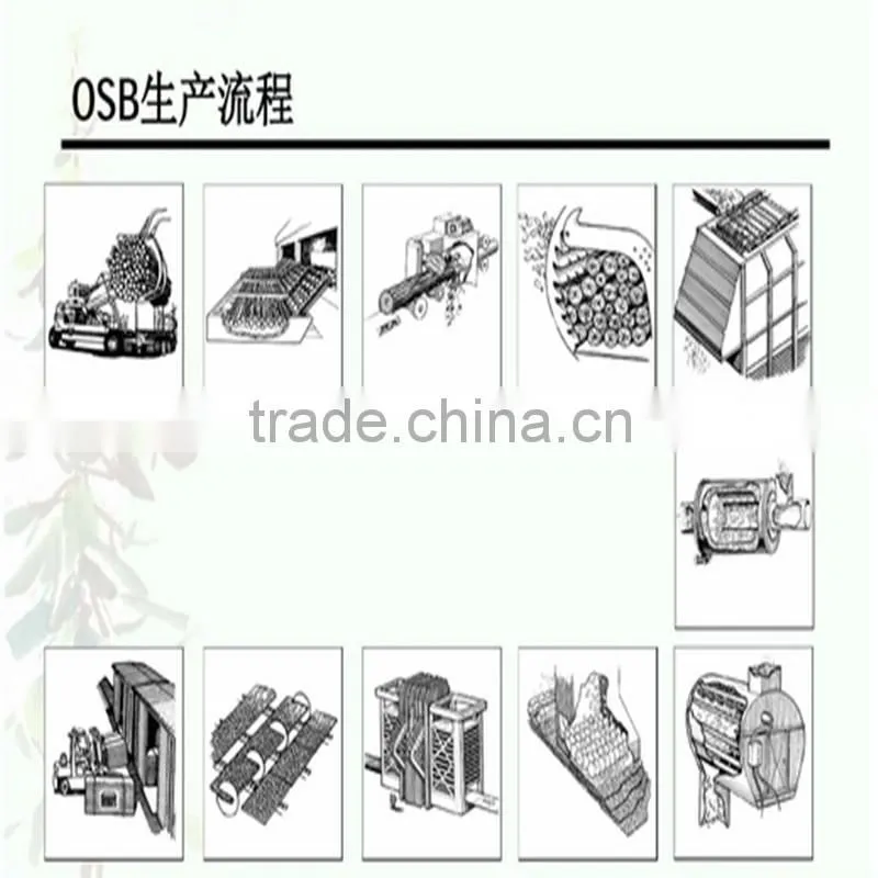 1220x2440mm high quality 3-25mm waterproof OSB with low price