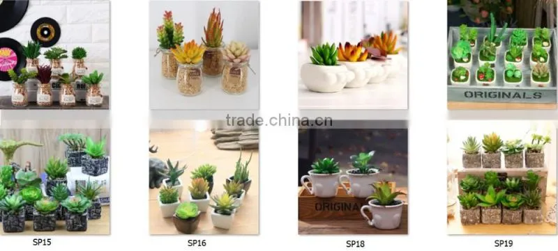 2016 Latest Design Artificial Succulent Pot Succulent Plants For Sale
