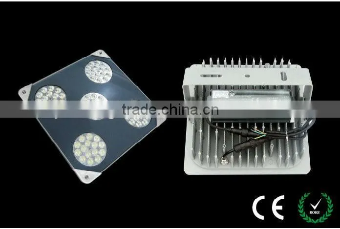 Outdoor Explosion-proof Petrol Station Explosion Proof Light