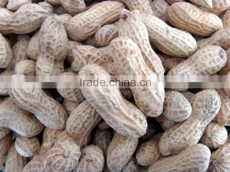 Fried peanut