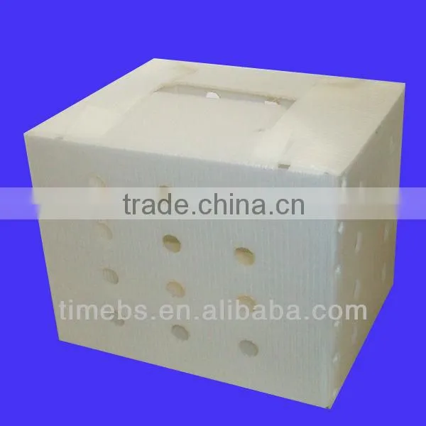 Fresh apple fruit packaging boxes