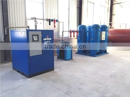 Low Price and functional Nitrogen Generator Psa