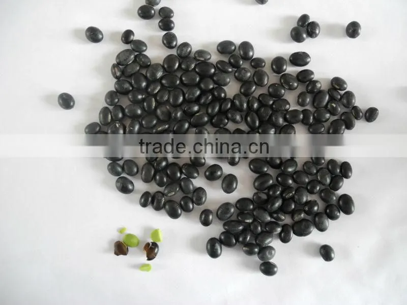 black bean geen inside