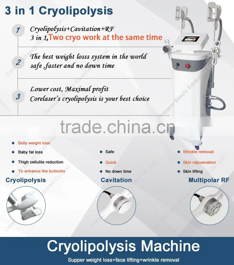 Professional beauty machine criotherapy weight loss machine popular in the world
