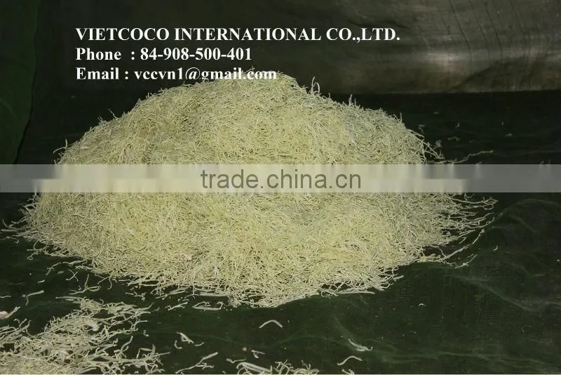 Dried Papaya Filament