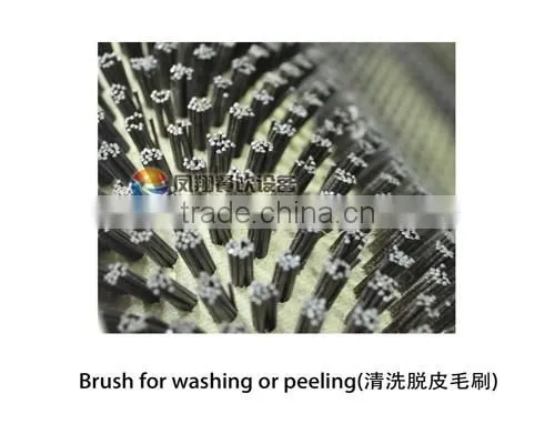 MSTP-500 High Efficiency Automatic Fresh Ginger Washing and Peeling Machine