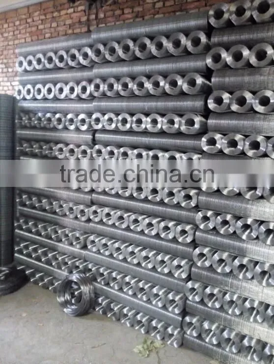 electro-galvanized 1/2 inch mesh welded wire mesh for construction