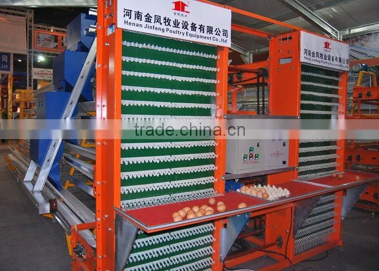 egg collecting machine for chicken farm