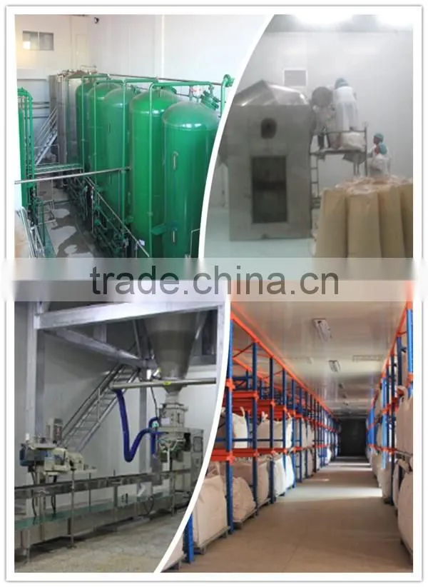 halal gelatin in powder form/halal gelatin price