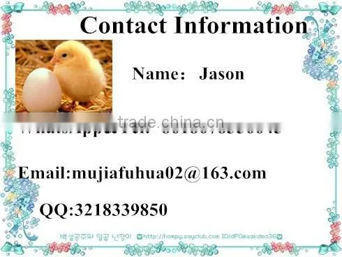 12 hole clear PVC quail egg tray for sale