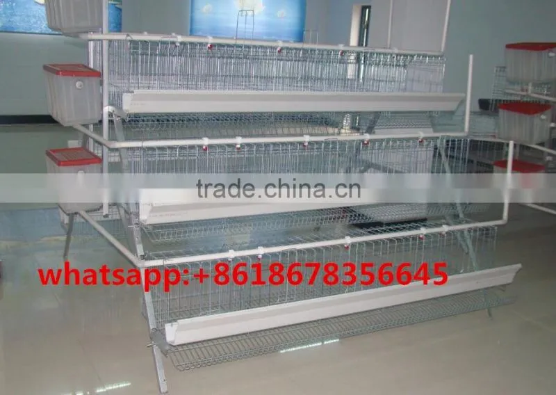 Bird cages quail battery cages quail cage