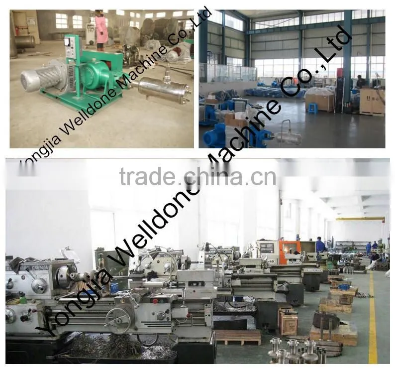 Direct-athtaced Type Cryogenic centrifugal pump