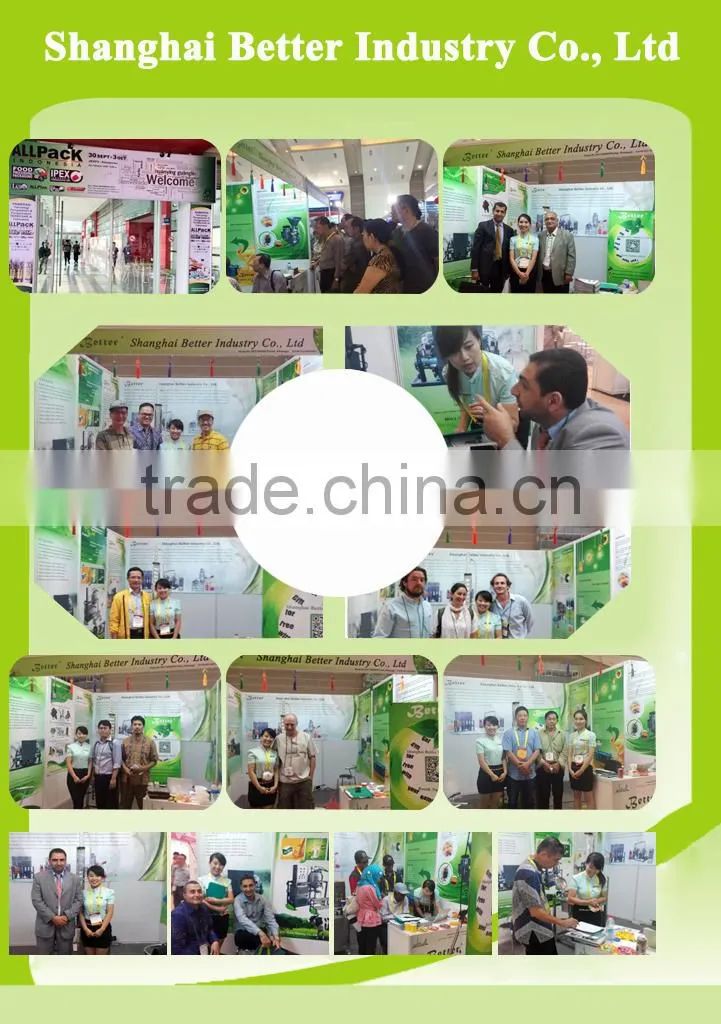 Automatic Household Cold Press Oil Expeller Machine