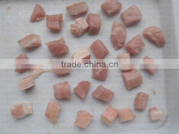 TW-550 Automatically Frozen Meat Cutting Machine (Video)